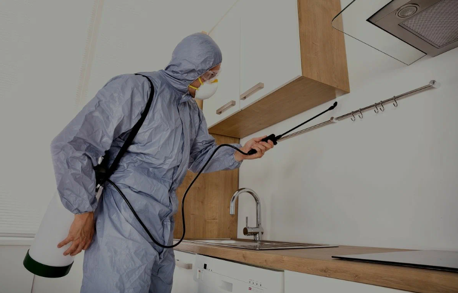 Baldwin Park pest managment